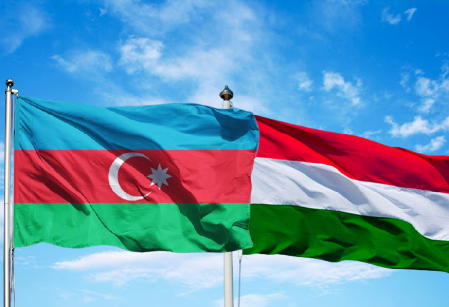 Azərbaycan-Macarıstan biznes forumunun keçirilməsi ilə bağlı fikir mübadiləsi aparılıb