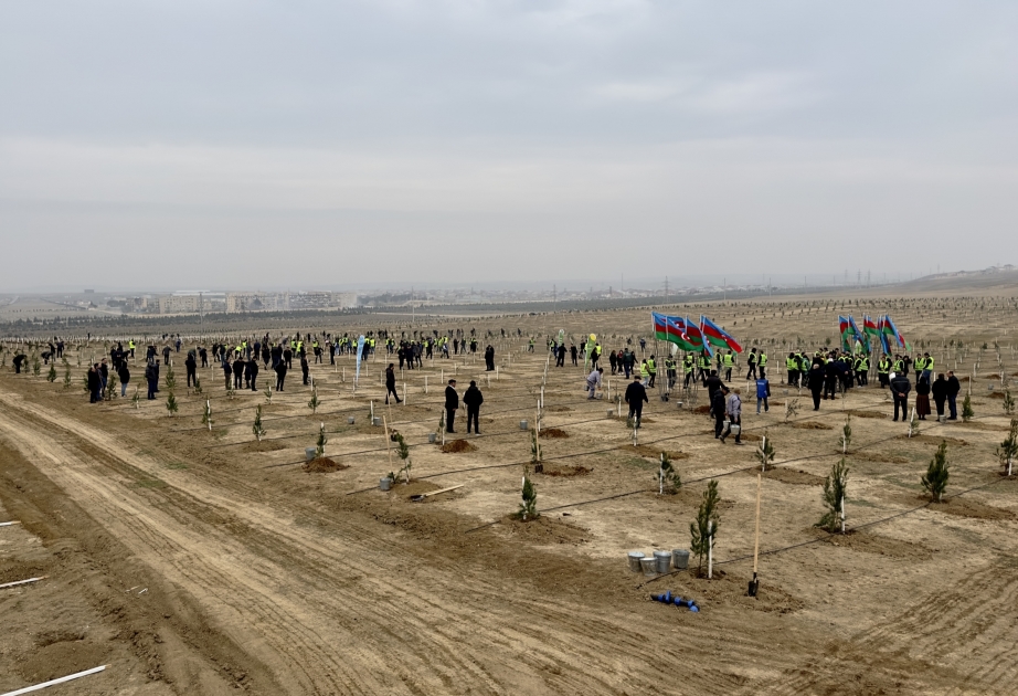 Energetika Nazirliyi “Heydər Əliyev İli” çərçivəsində ağacəkmə aksiyası təşkil edib