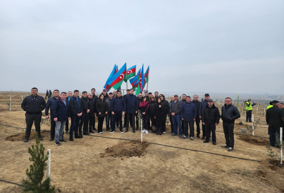 Konstitusiya Məhkəməsinin kollektivi “Heydər Əliyev İli” çərçivəsində ağacəkmə aksiyasında iştirak edib