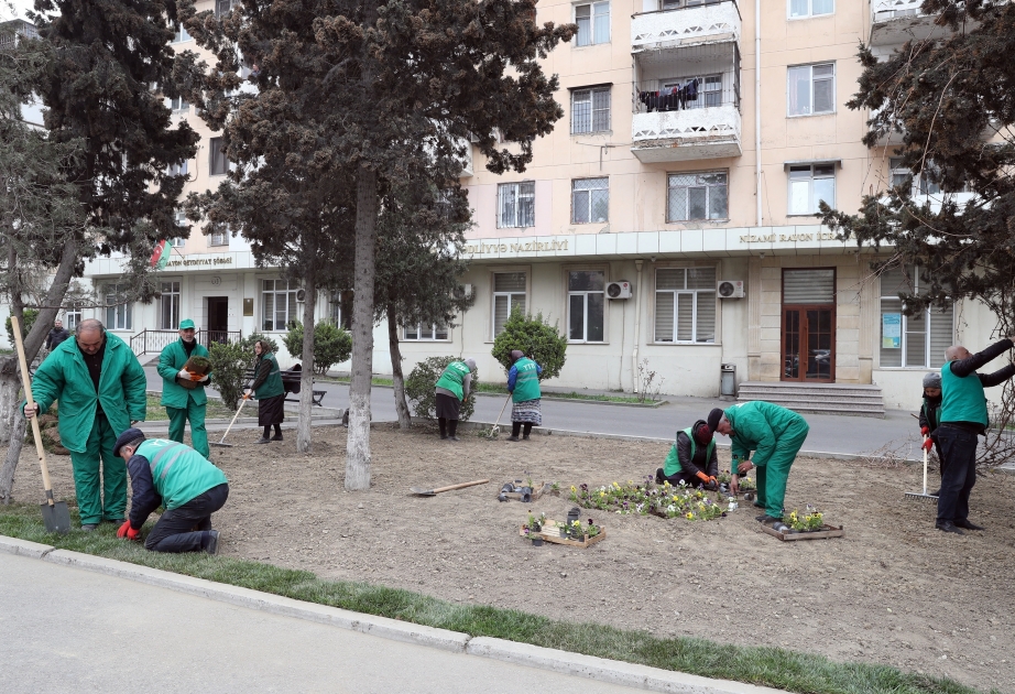 В Баку прошел общегородской субботник