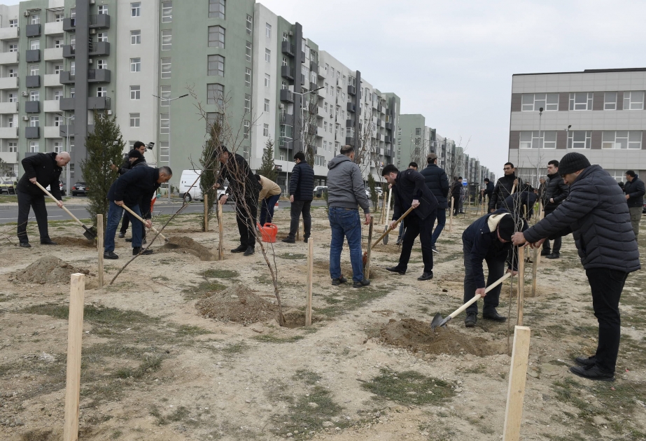MİDA “Heydər Əliyev İli” çərçivəsində ağacəkmə aksiyası keçirib
