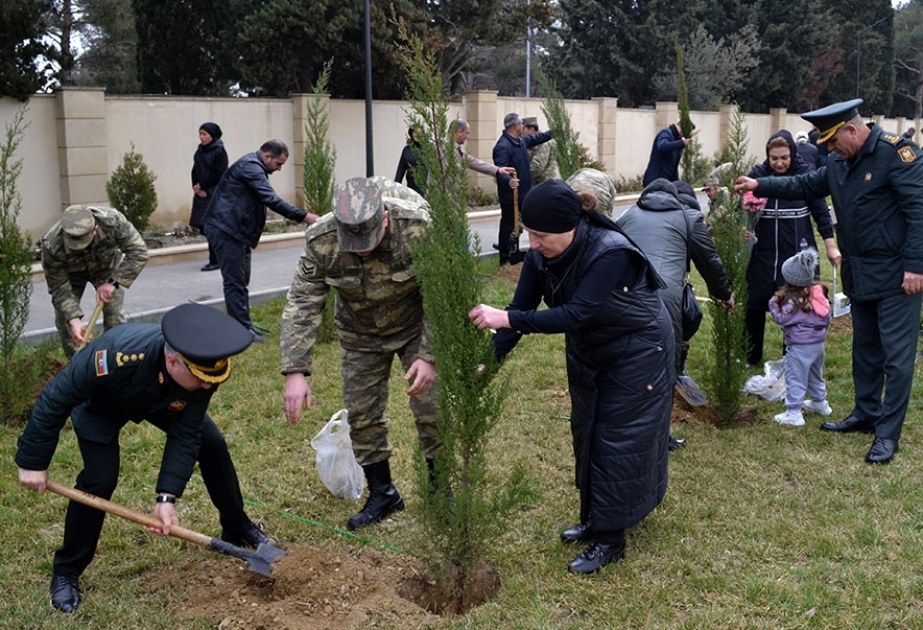 “Heydər Əliyev İli” çərçivəsində növbəti ağacəkmə aksiyası təşkil olunub