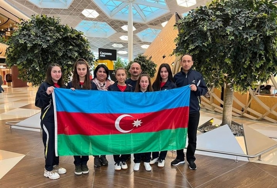 Azerbaijani table tennis players to compete in Turkish tournament