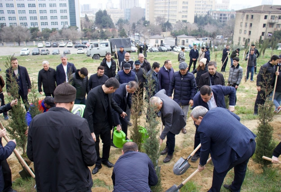 “Heydər Əliyev İli” çərçivəsində ağacəkmə aksiyası təşkil olunub