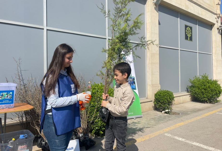 Sabirabadda vətəndaşlara ağac tingləri paylanılıb