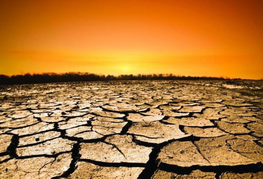 Антониу Гутерриш: Изменение климата делает Землю «непригодной для жизни»