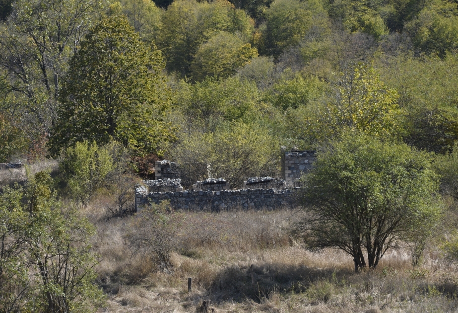 Taghilar village, Kalbajar district