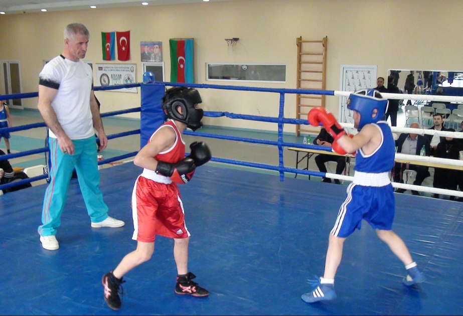 İmişlidə şəhidlərin xatirəsinə həsr olunan boks yarışı keçirilib