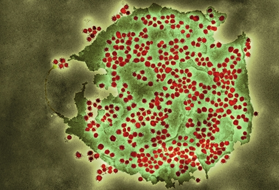 COVID-19: Aktuelle Daten zum Coronavirus in Aserbaidschan
