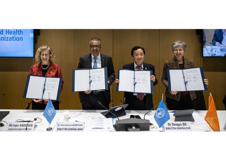 Los organismos de la ONU piden un enfoque coordinado para hacer frente a las nuevas amenazas sanitarias

