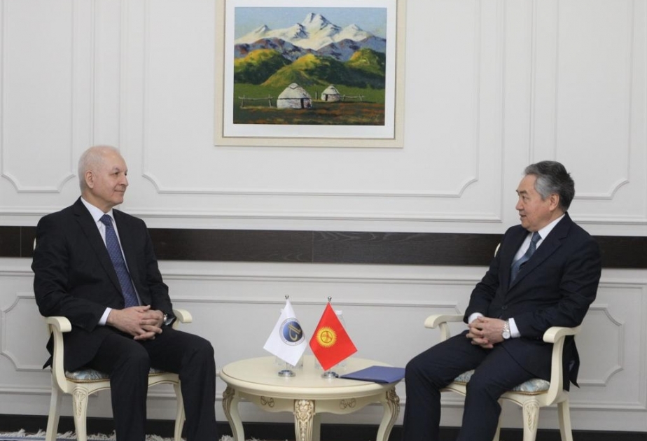 Beynəlxalq Türk Akademiyasının prezidenti Qırğızıstanın xarici işlər naziri ilə görüşüb