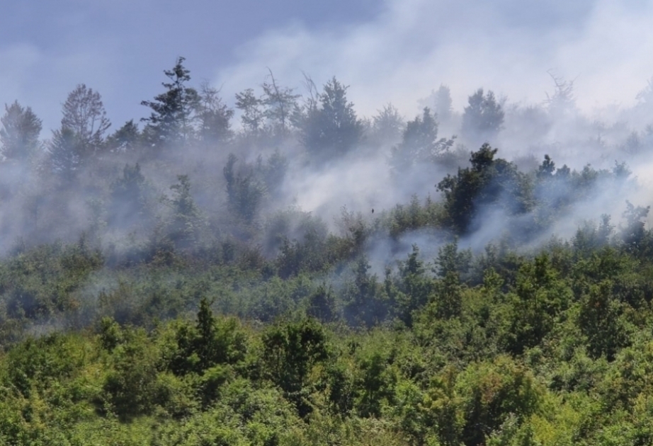 اندلاع حريق قرب محمية هيركان الوطنية