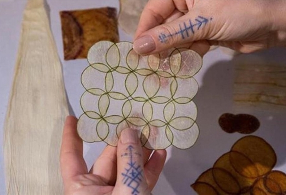 Turkish artist turns organic materials into works of art