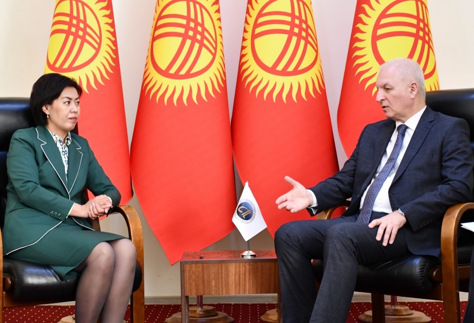 International Turkic Academy, Kyrgyzstan discuss cultural cooperation