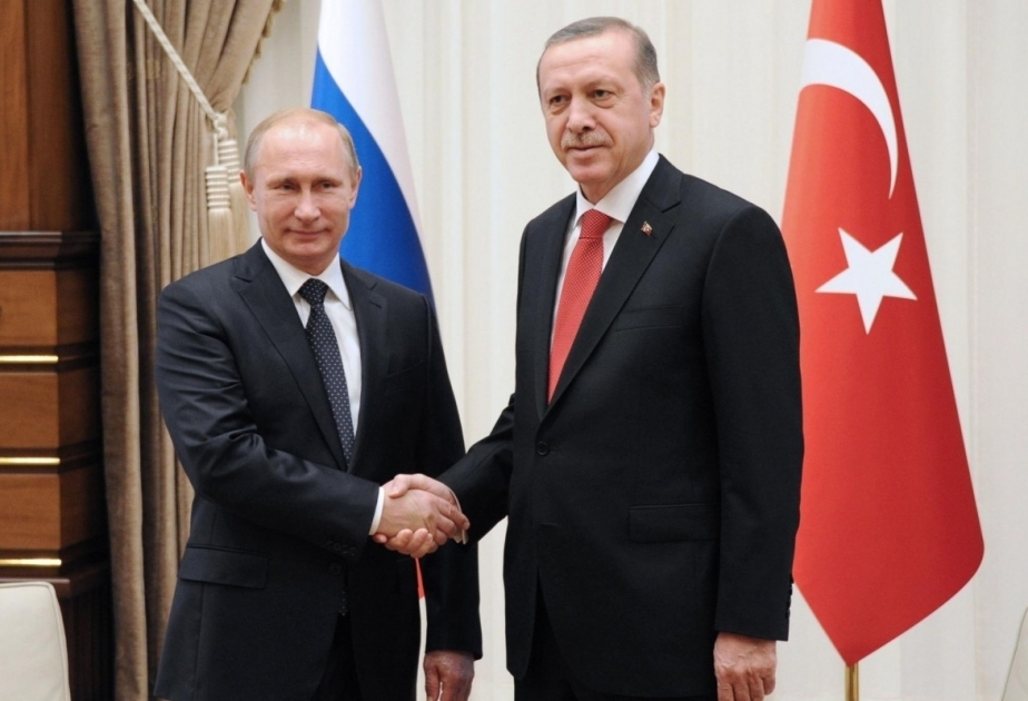Russia's Putin may visit Türkiye for '1st step' on nuclear power plant, says Turkish president