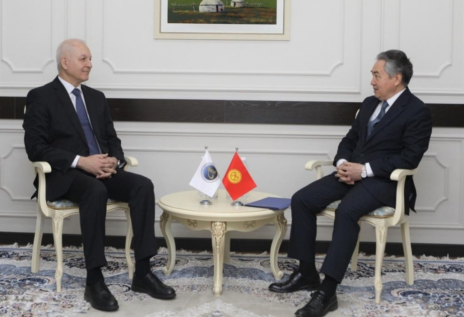 Le président de l’Académie internationale turque s’entretient avec le ministre kirghiz des Affaires étrangères