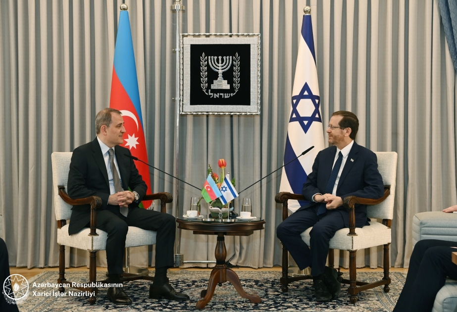 Azerbaijani FM meets with President of Israel