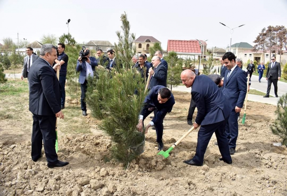 Şirvanda “Heydər Əliyev İli” çərçivəsində ağacəkmə aksiyası keçirilib