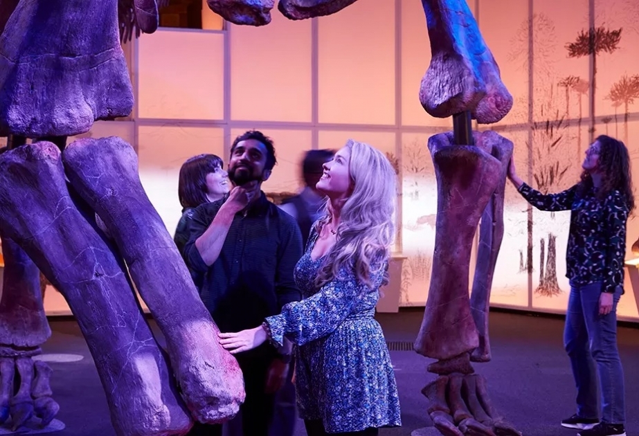 Londonda yaşı yüz milyon ildən çox olan dinozavr skeleti nümayiş olunur
