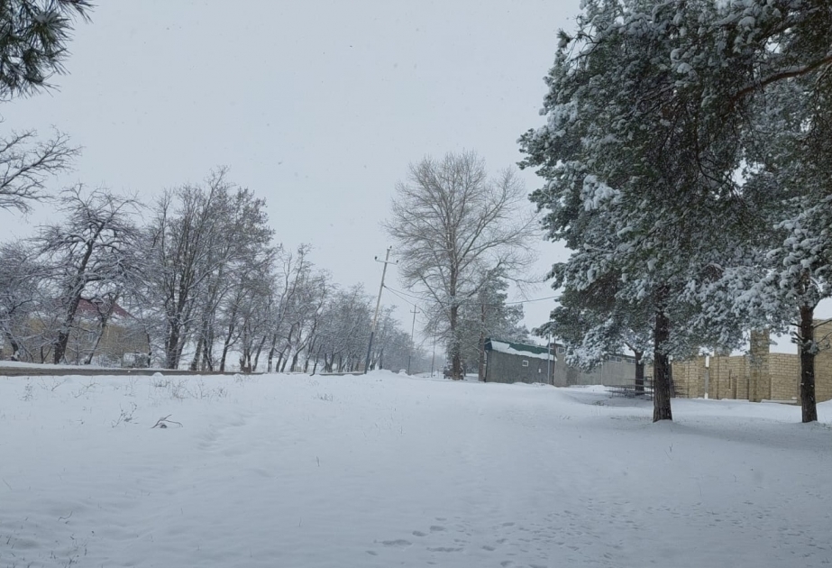 凯达贝克降雪  图片