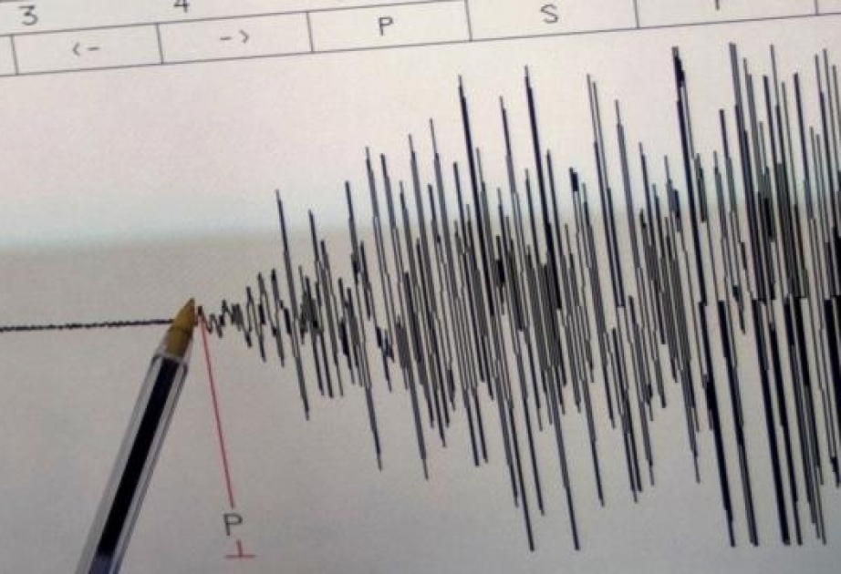 В Иране произошло землетрясение силой 5 баллов