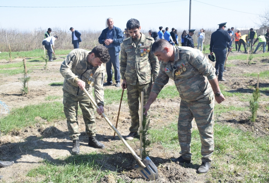 “Heydər Əliyev İli” çərçivəsində YAP-ın yerli təşkilatları ağacəkmə kampaniyasını davam etdirir