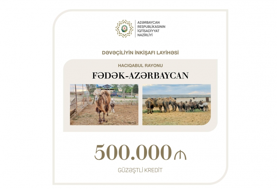 Hacıqabulda dəvəçiliyin inkişafı üçün güzəştli kredit ayrılıb