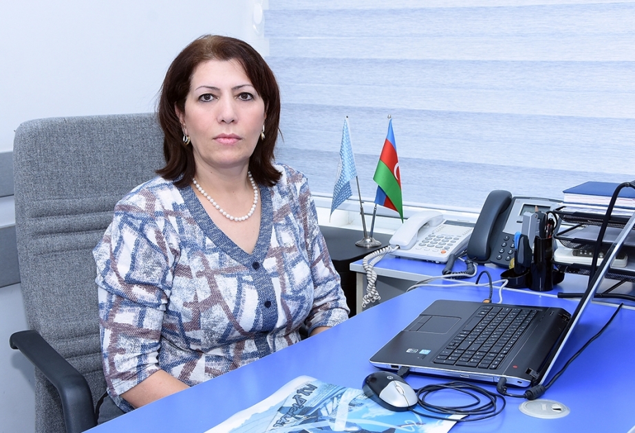 Azərbaycan dilində dialektometriya sahəsində mövcud problemlər və onların həlli yolları