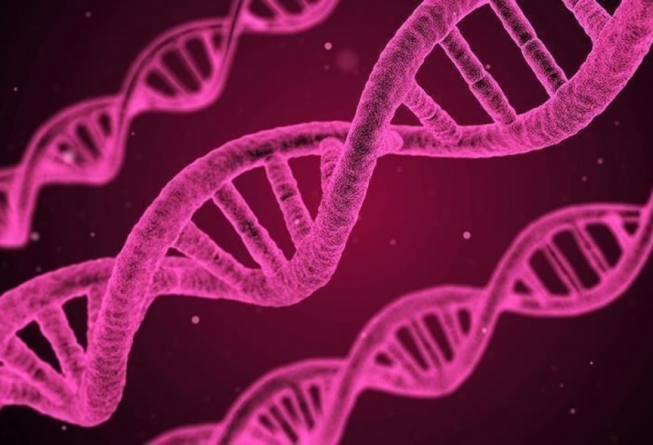 Les cas de cancer devraient augmenter de 55 % d'ici 2040 par rapport à 2020