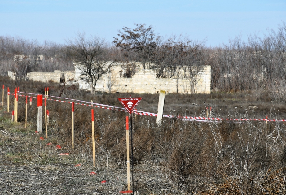 Mina probleminin qlobal təhlükə olması və ictimaiyyətin bu sahədə maarifləndirilməsi önəmlidir