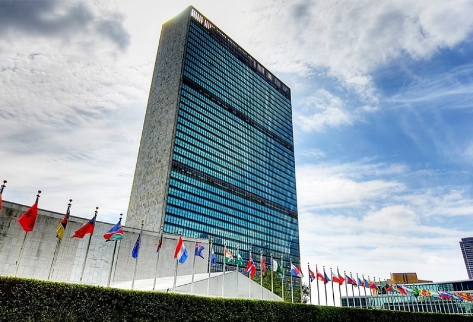 Azerbaijani NGOs make appeal to UN Secretary-General regarding landmine problem