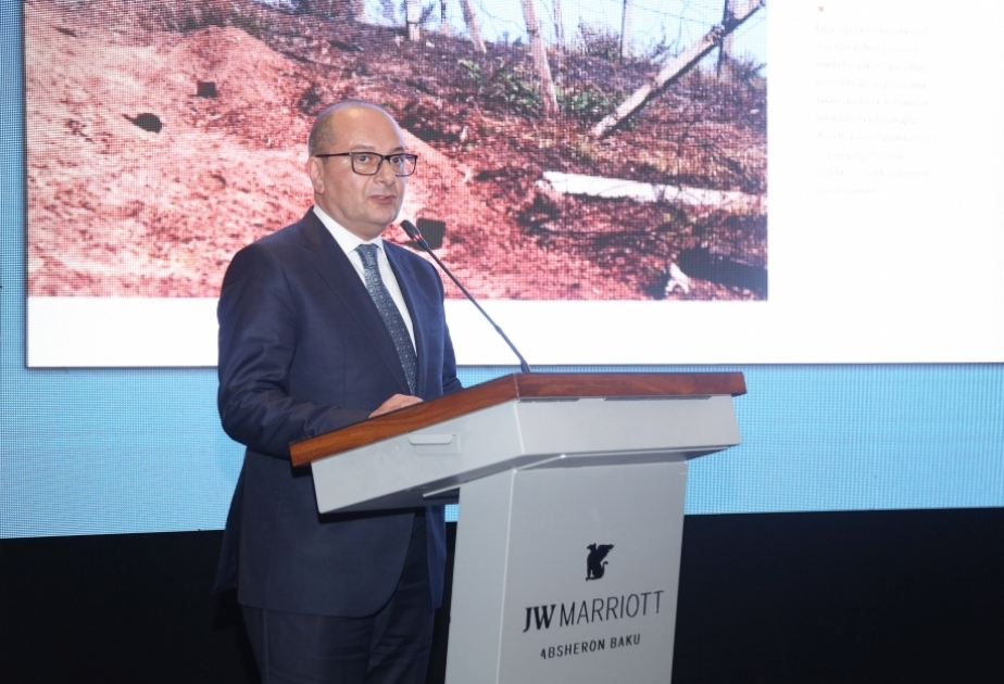 Vüqar Süleymanov: Müharibədən sonra 85 mindən çox mina və partlamamış hərbi sursat zərərsizləşdirilib