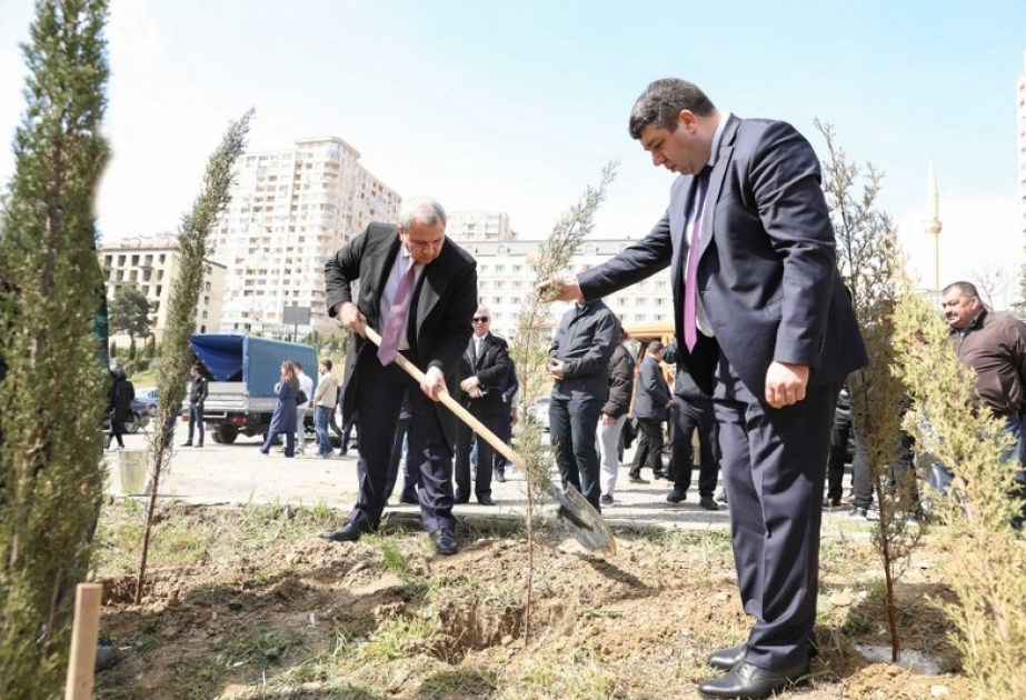 BDU-nun “Tələbə evi”nin ərazisində Ulu Öndərin 100 illik yubileyinə həsr olunmuş ağacəkmə aksiyası