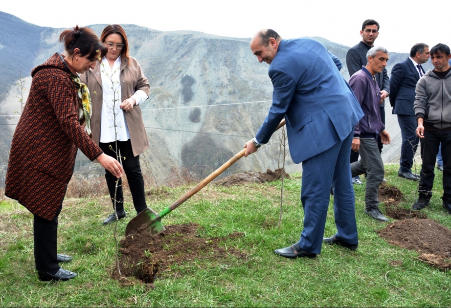 Daşkəsəndə “Heydər Əliyev İli” çərçivəsində ağacəkmə aksiyası keçirilib