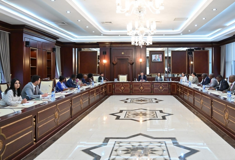 Meeting with Secretaries General of National Commissions for UNESCO held at Azerbaijan`s Milli Majlis