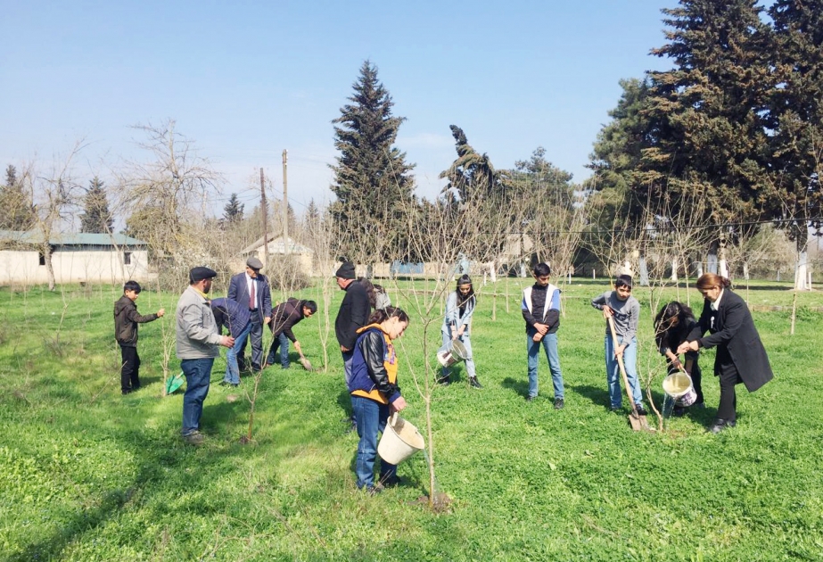 Məktəblilər “Heydər Əliyev İli” çərçivəsində ağacəkmə aksiyalarında iştirak ediblər