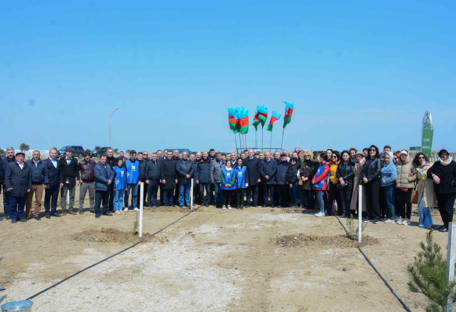 В рамках Года Гейдара Алиева UNEC принял участие в акции по посадке деревьев