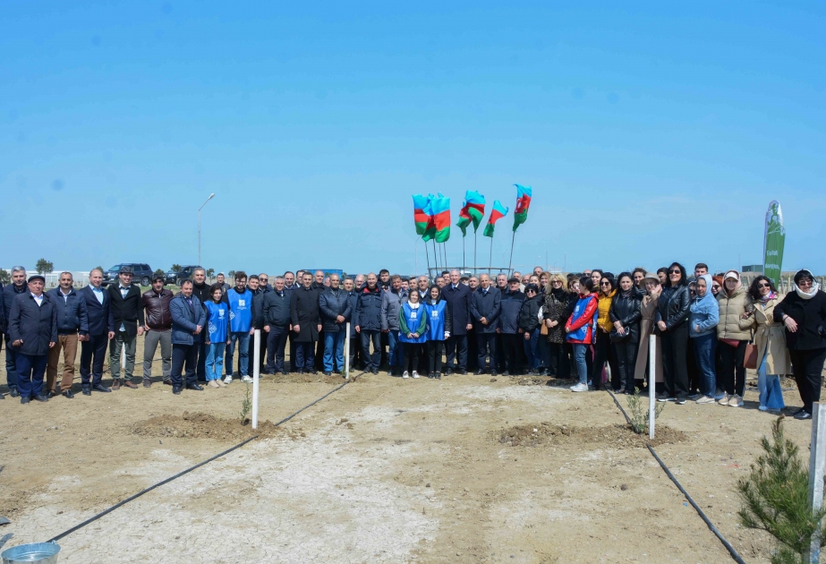 UNEC “Heydər Əliyev İli” çərçivəsində ağacəkmə aksiyasına qoşuldu