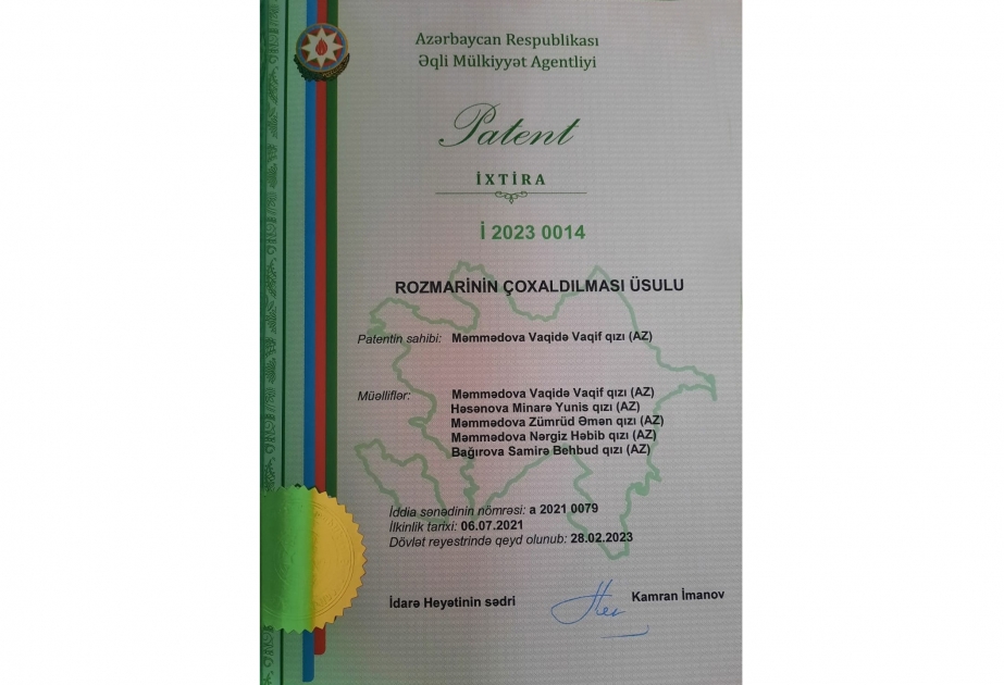 Dendrologiya İnstitutu ixtirasına görə patent alıb