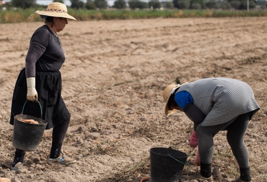 Portugal : une association expérimente l’agriculture syntropique et transforme une terre aride en ferme-jardin