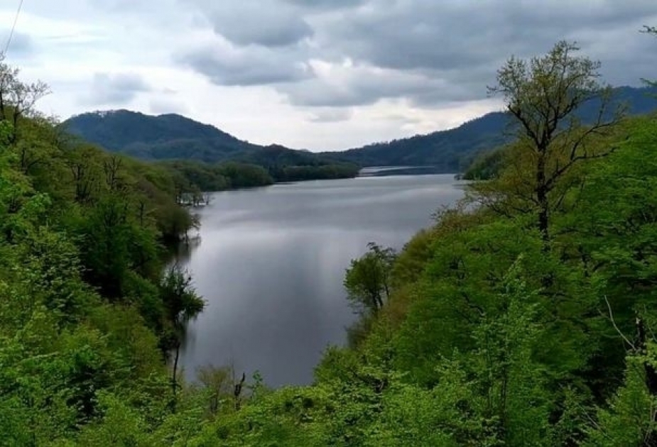Minister: "Hirkan Forests" nomination submitted to UNESCO World Heritage Committee