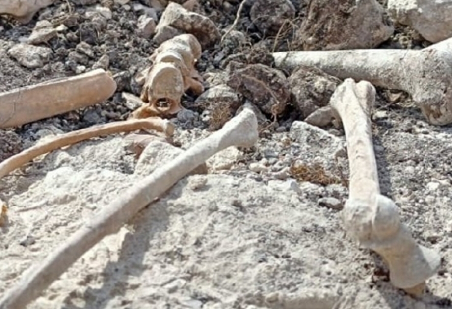 اكتشاف عظام بشرية في محافظة أغدام