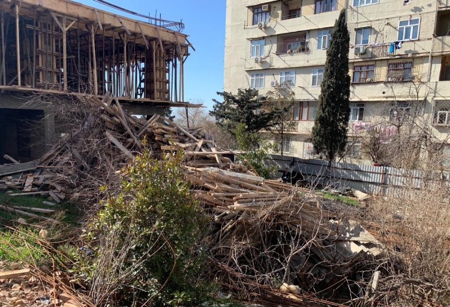 Ağacların qanunsuz kəsilməsi ilə bağlı sənədlər Baş Prokurorluğa göndərilib