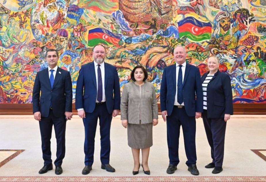Speaker Sahiba Gafarova meets with Head of UK-Azerbaijan inter-parliamentary friendship group