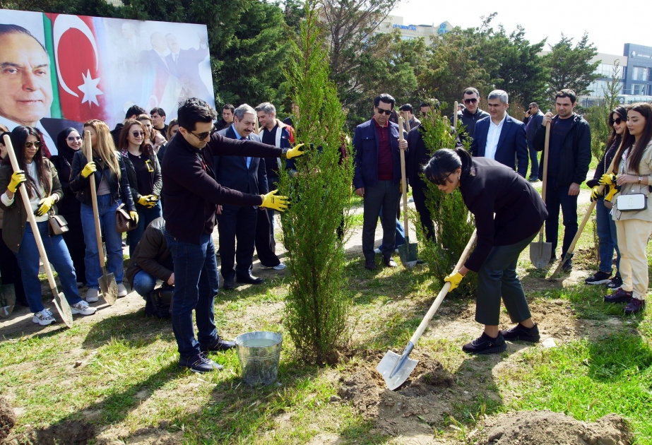 Ombudsman Aparatının kollektivi ağacəkmə aksiyasına qoşulub