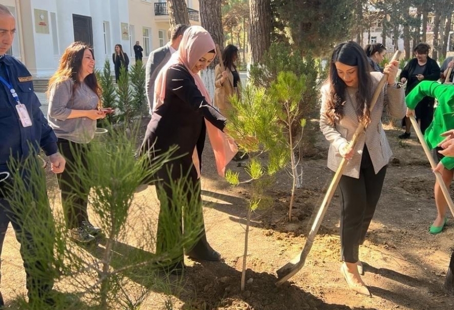“Ağaclar ağ ciyərlərimizdir” aksiyasında 150-dən çox həmişəyaşıl ağac əkilib