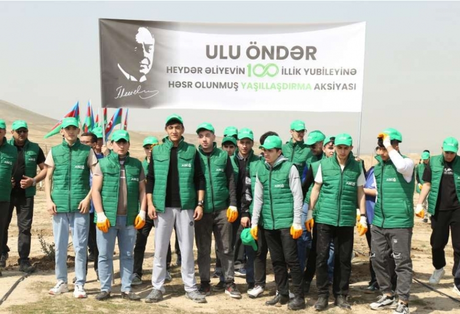 Müşfiqabad qəsəbəsində “Heydər Əliyev İli” çərçivəsində Eldar şamı və zeytun ağacları əkilib