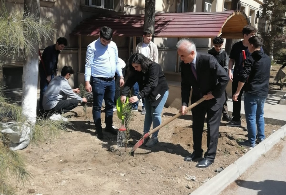 “Heydər Əliyev İli” çərçivəsində ATMU-da ağacəkmə aksiyası keçirilib