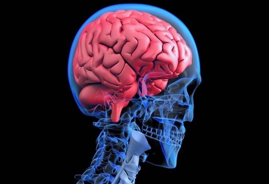 Your brain can create a false memory quicker than you think