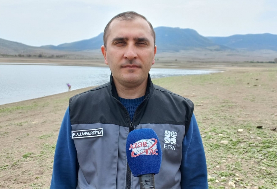 Rəşad Allahverdiyev: Keçən il su hövzələrinə 200 minədək balıq buraxılıb